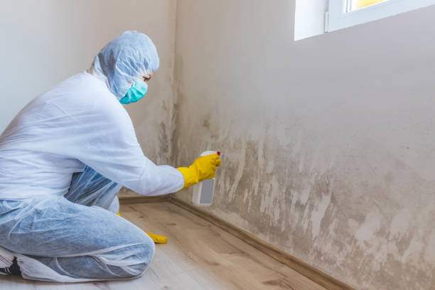 Licensed Bathroom Mold Removal service in Strasburg, PA - WQB Mold Removal