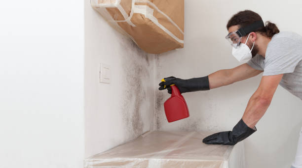 Professional Bathroom Mold Removal technician working in Strasburg, PA
